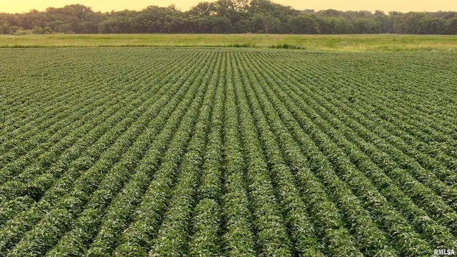 $3,510,500 | 0 East 1200th Road, London Mills, IL 61544