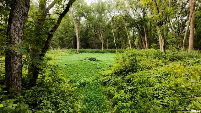 $3,510,500 | 0 East 1200th Road, London Mills, IL 61544