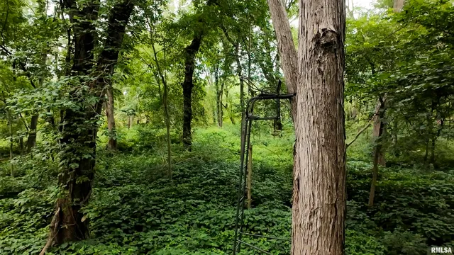 $3,510,500 | 0 East 1200th Road, London Mills, IL 61544