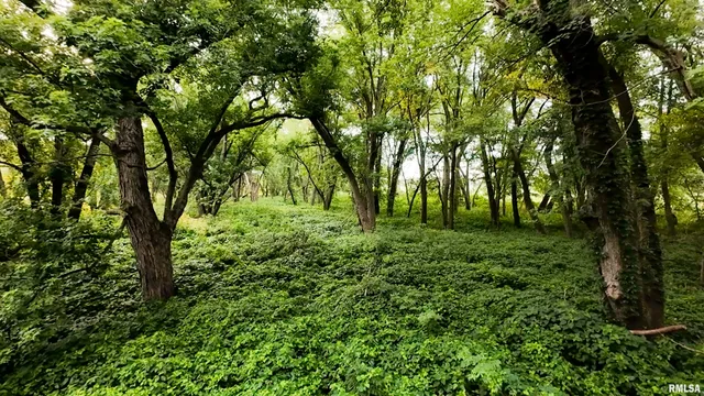 $3,510,500 | 0 East 1200th Road, London Mills, IL 61544