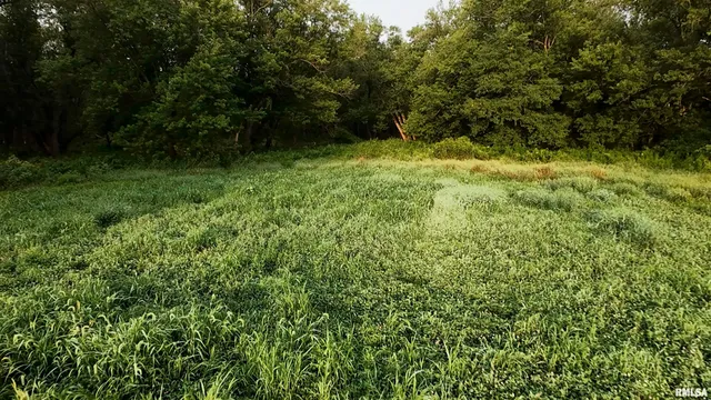 $3,510,500 | 0 East 1200th Road, London Mills, IL 61544