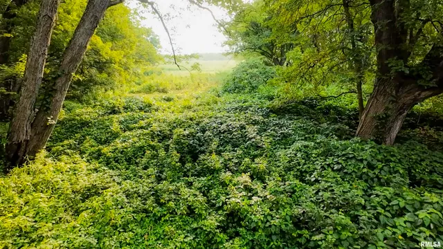 $3,510,500 | 0 East 1200th Road, London Mills, IL 61544