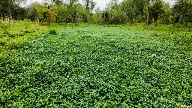 $3,510,500 | 0 East 1200th Road, London Mills, IL 61544