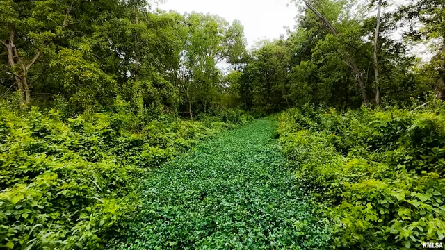 $3,510,500 | 0 East 1200th Road, London Mills, IL 61544