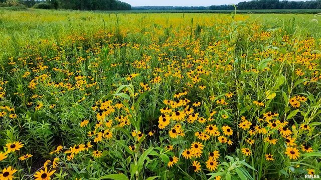 $3,510,500 | 0 East 1200th Road, London Mills, IL 61544