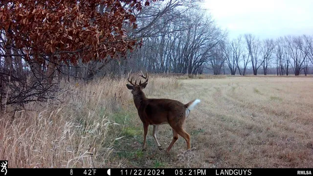 $3,510,500 | 0 East 1200th Road, London Mills, IL 61544