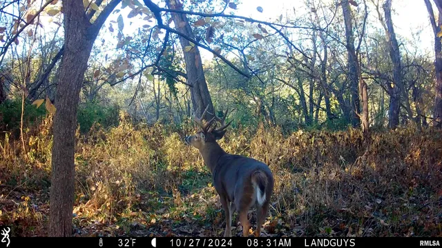 $3,510,500 | 0 East 1200th Road, London Mills, IL 61544