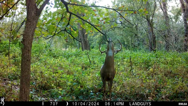 $3,510,500 | 0 East 1200th Road, London Mills, IL 61544