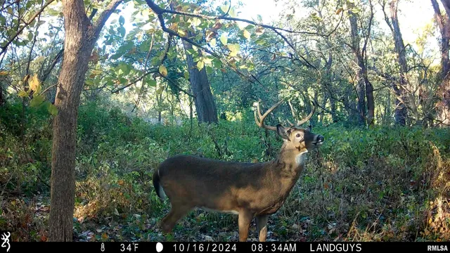 $3,510,500 | 0 East 1200th Road, London Mills, IL 61544