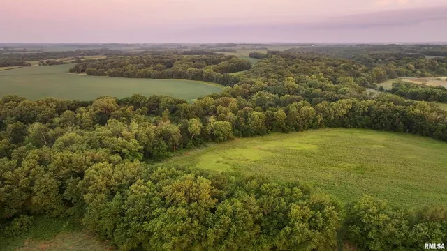 $3,510,500 | 0 East 1200th Road, London Mills, IL 61544