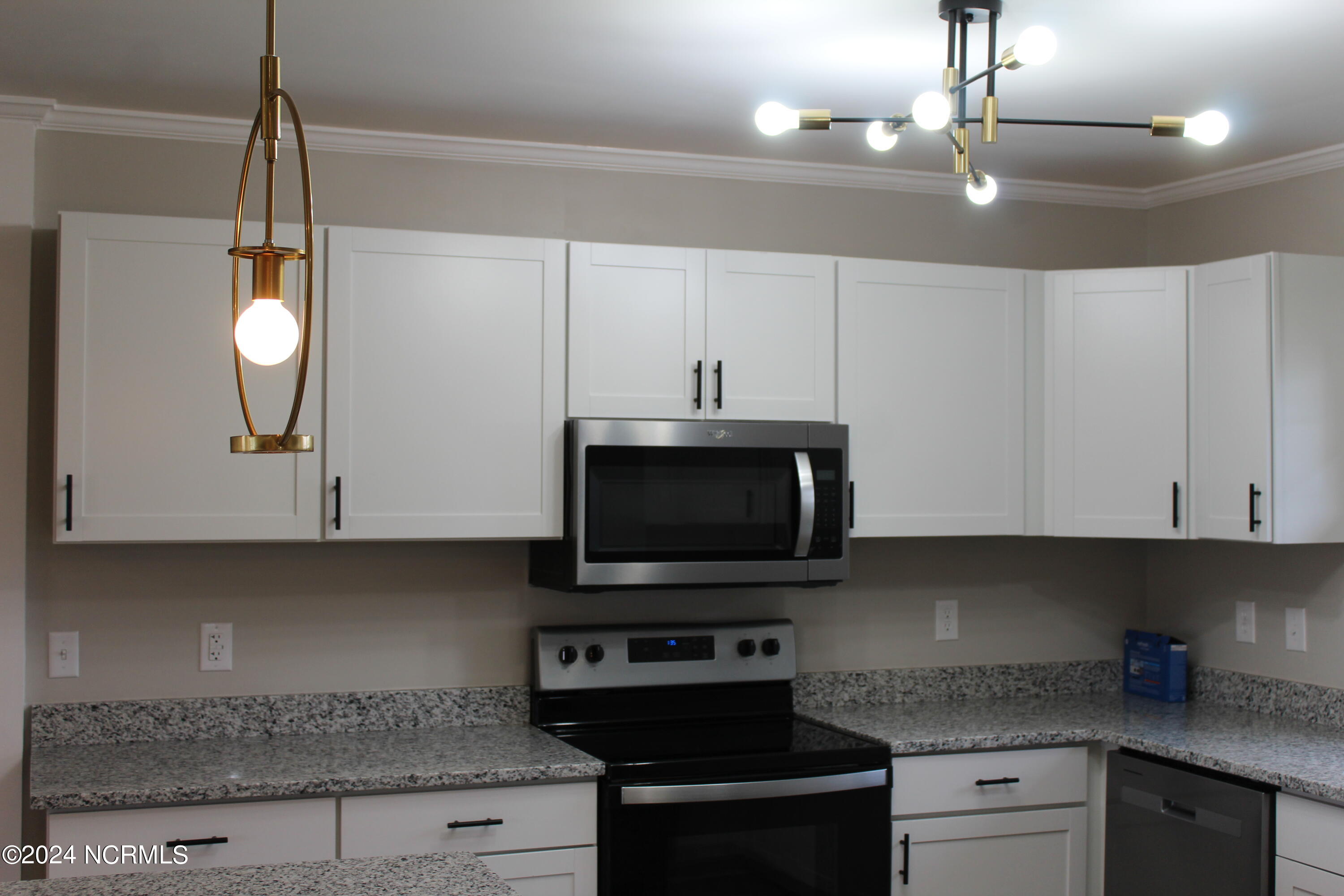 3105 Dan Peele Road Williamston, NC 27892 - Photo 25 of 64 IMG_3939