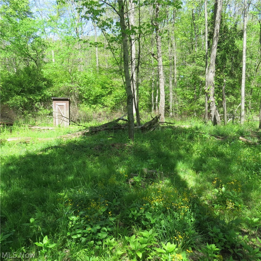 Montero Road Northeast Carrollton, OH 44615 - Photo 7 of 12