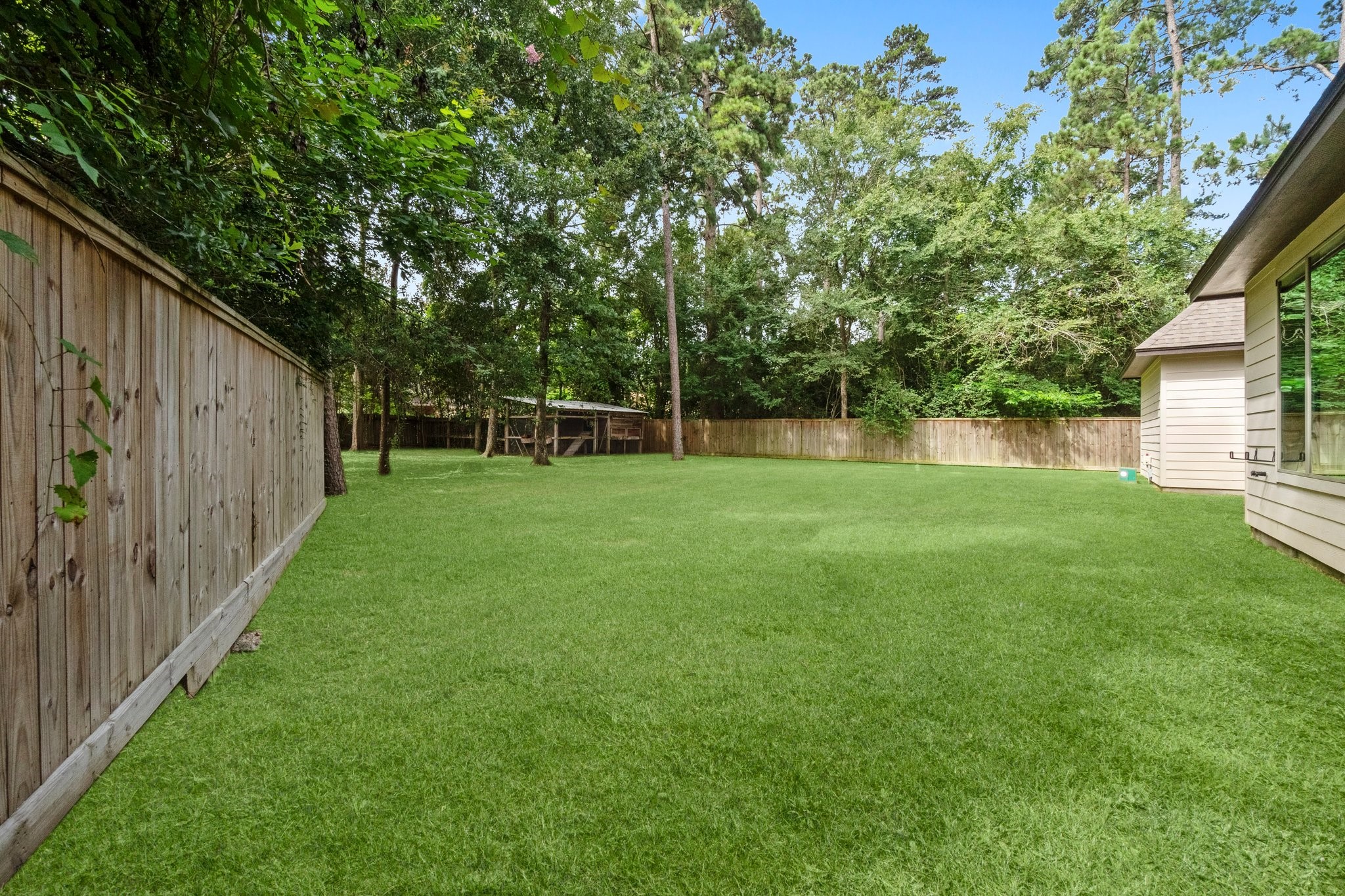 2402 Chantilly Lane Conroe, TX 77384 - Photo 47 of 49 a view of a backyard with a small cabin