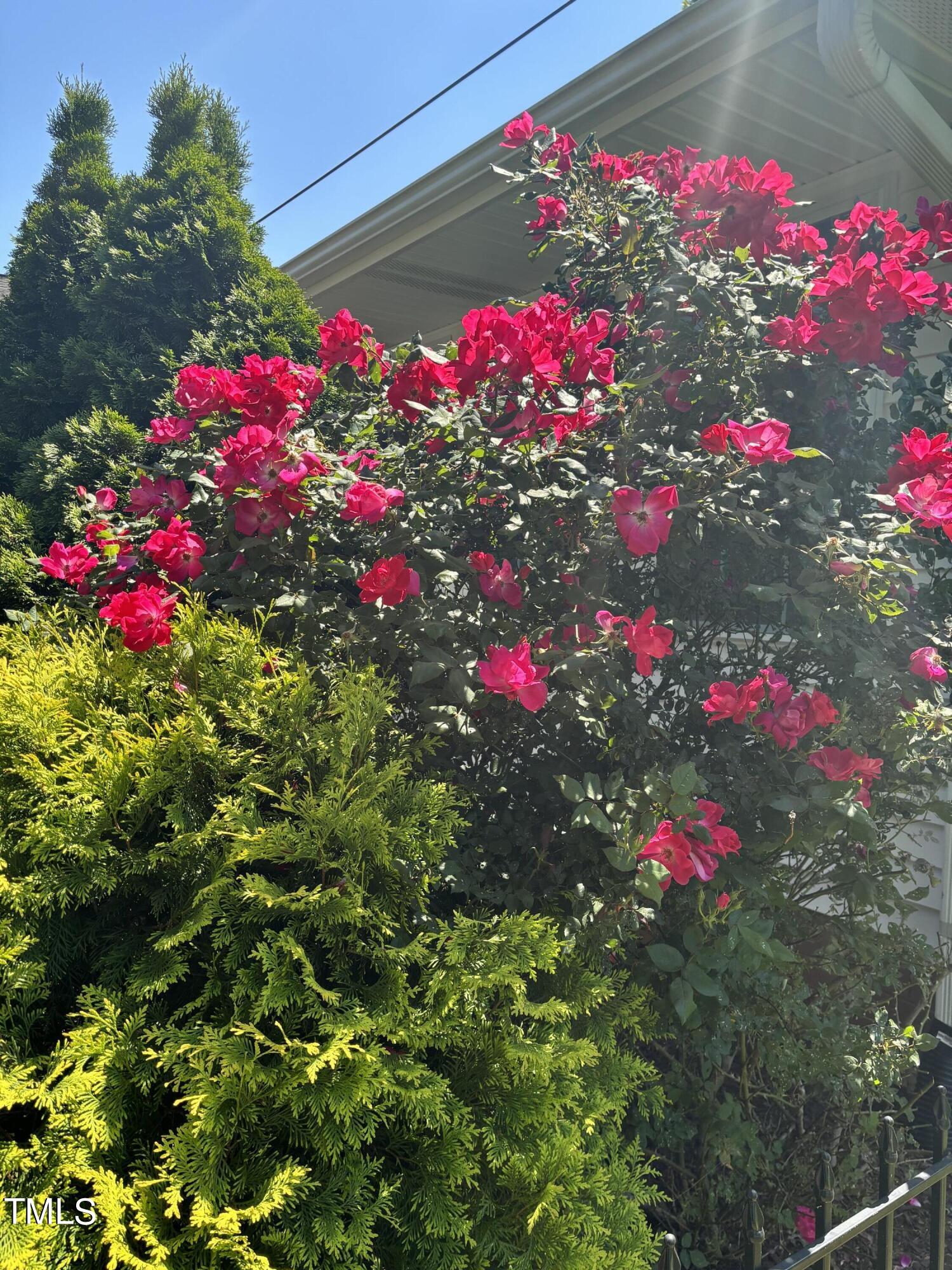 302 Sherron Road Durham, NC 27703 - Photo 61 of 69 IMG_7410