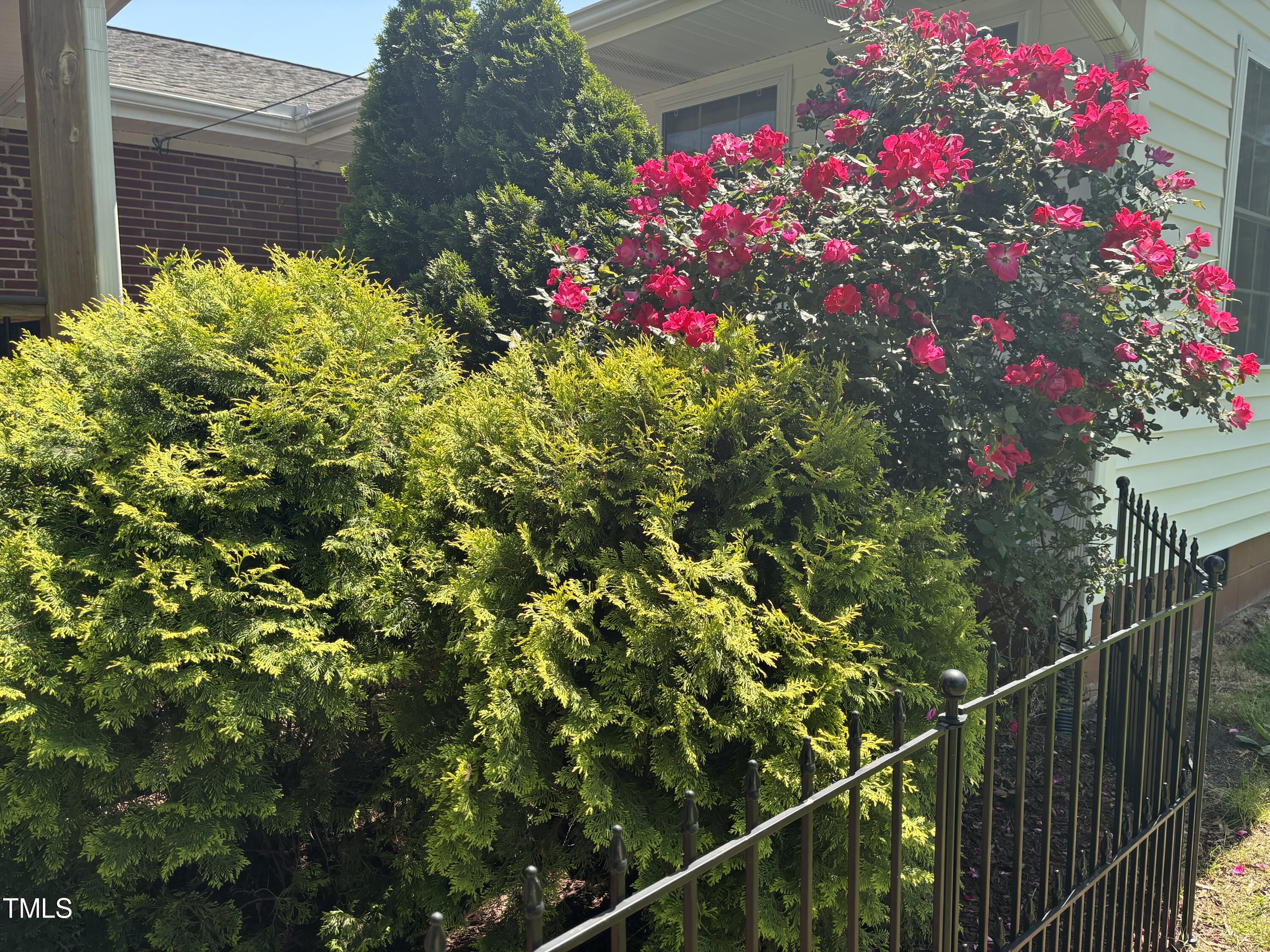 302 Sherron Road Durham, NC 27703 - Photo 62 of 69 IMG_7411