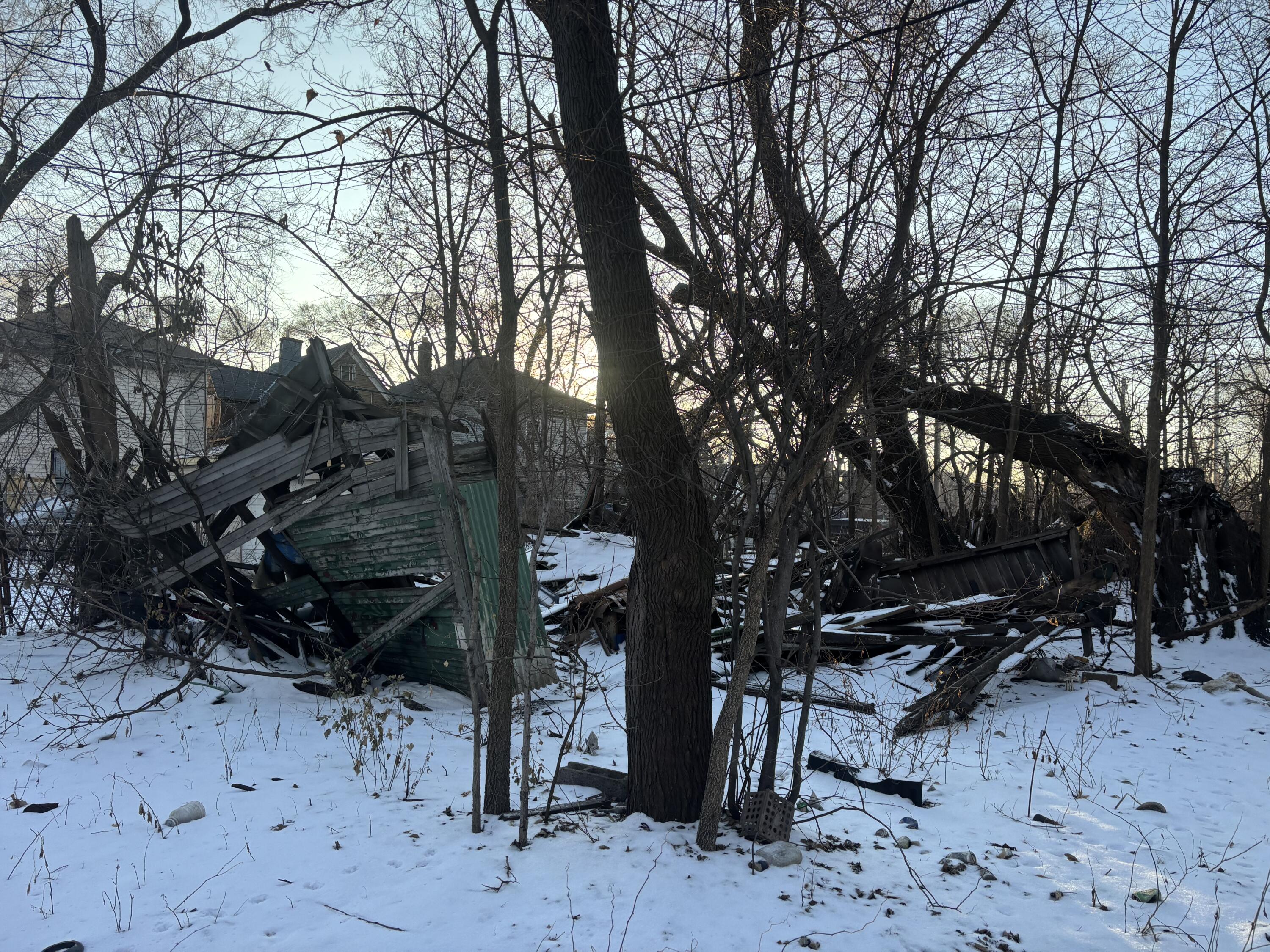 563 Pennsylvania Street Gary, IN 46402 - Photo 5 of 5 a view of outdoor space with lots of trees