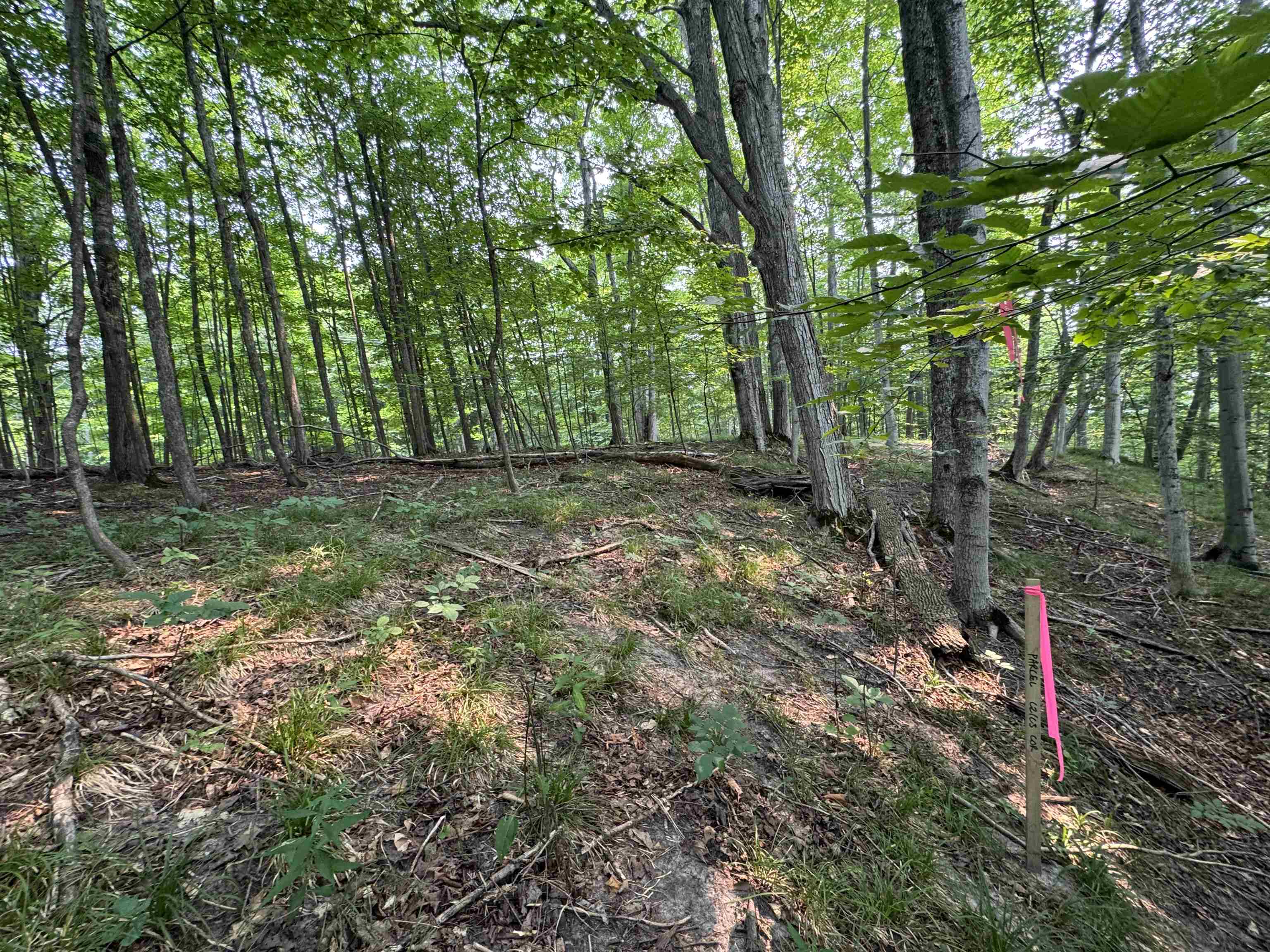 Lot #3 East Bellinger Road, Unit BELLINGER ESTATES Cedar, MI 49621 - Photo 13 of 15