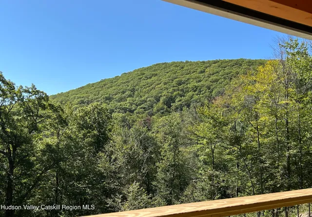 a view of grapes plant