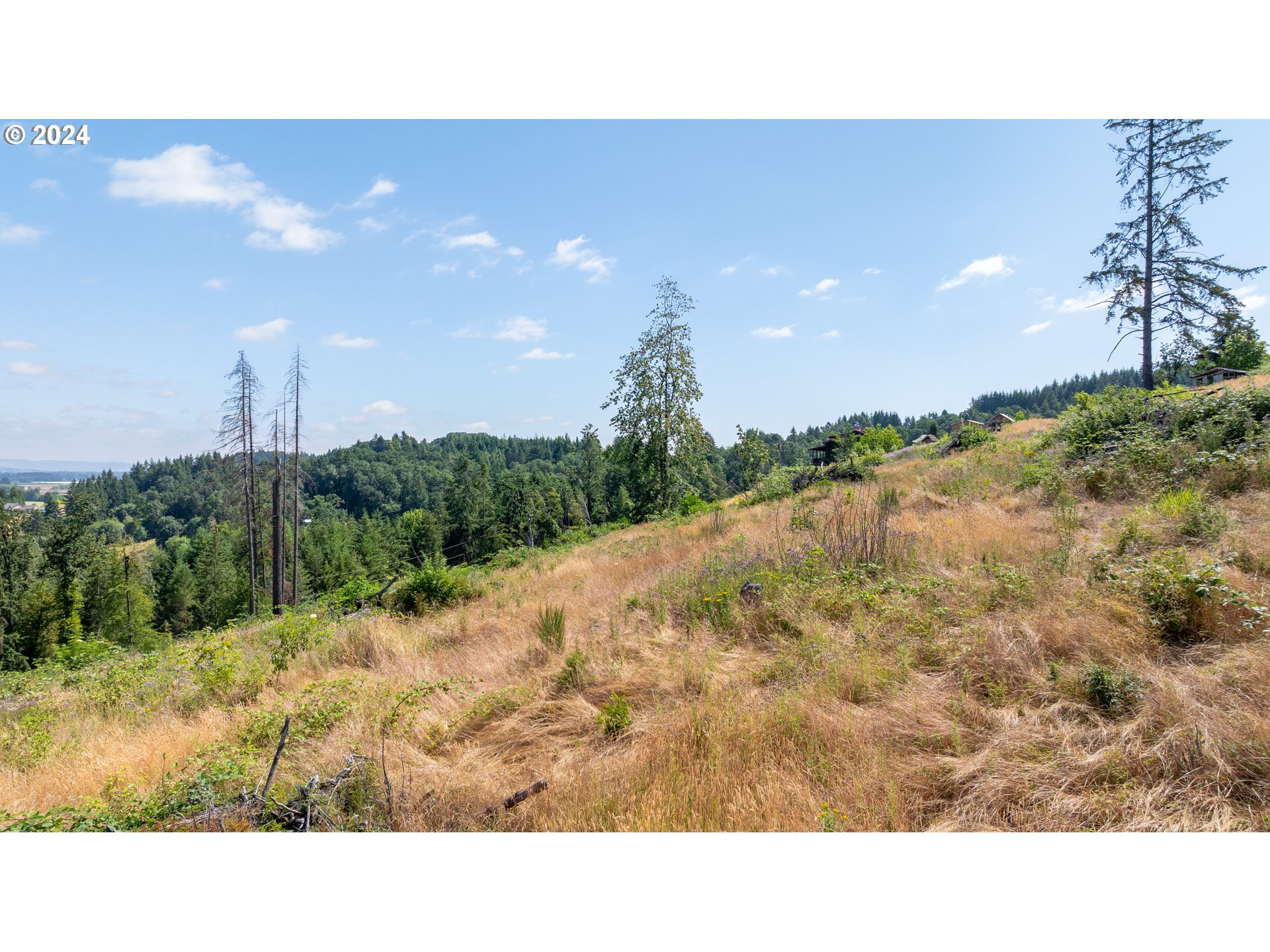 16300 Southeast Walnut Hill Road Amity, OR 97101 - Photo 41 of 48 a outdoor view