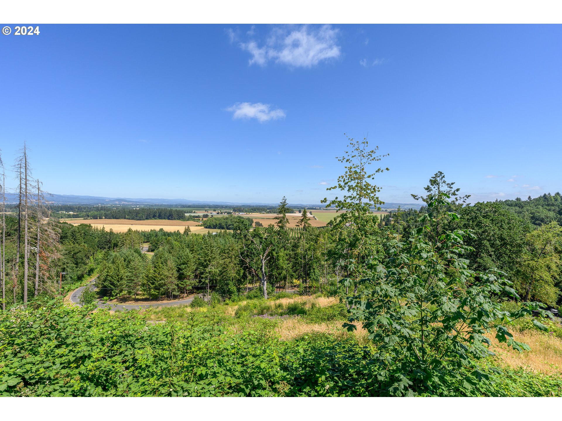 16300 Southeast Walnut Hill Road Amity, OR 97101 - Photo 46 of 48