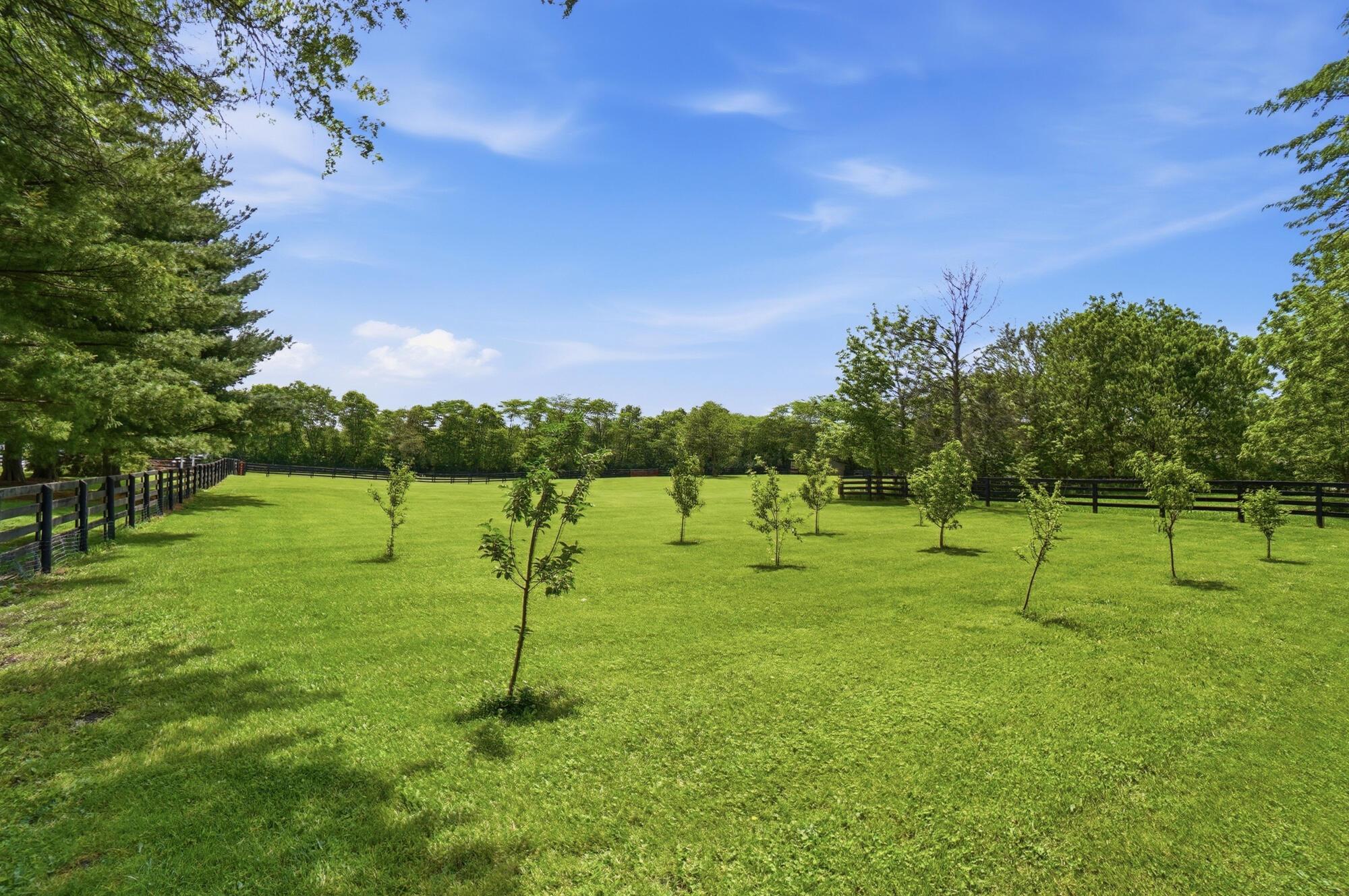 6075 Alkire Road Galloway, OH 43119 - Photo 77 of 85 Orchard