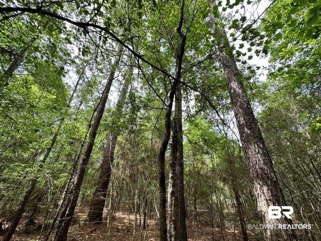 0 Wilmer Road Wilmer, AL 36587 - Photo 19 of 28