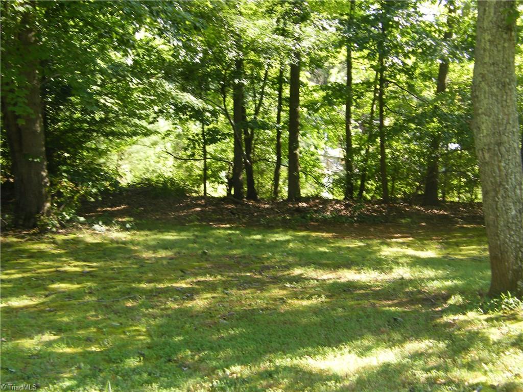 1244 High Bridge Road Pinnacle, NC 27043 - Photo 14 of 17