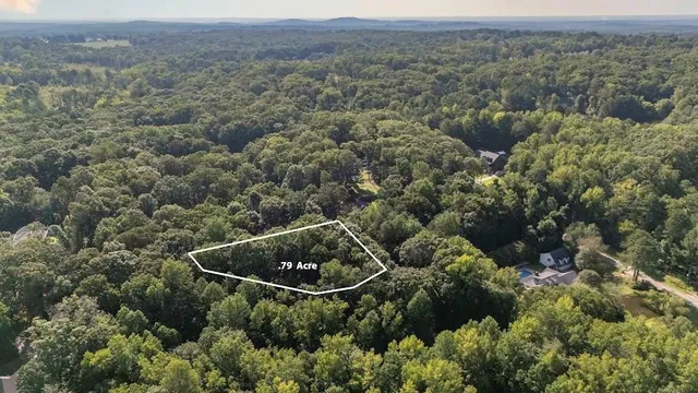 a view of a field of grass and flowers