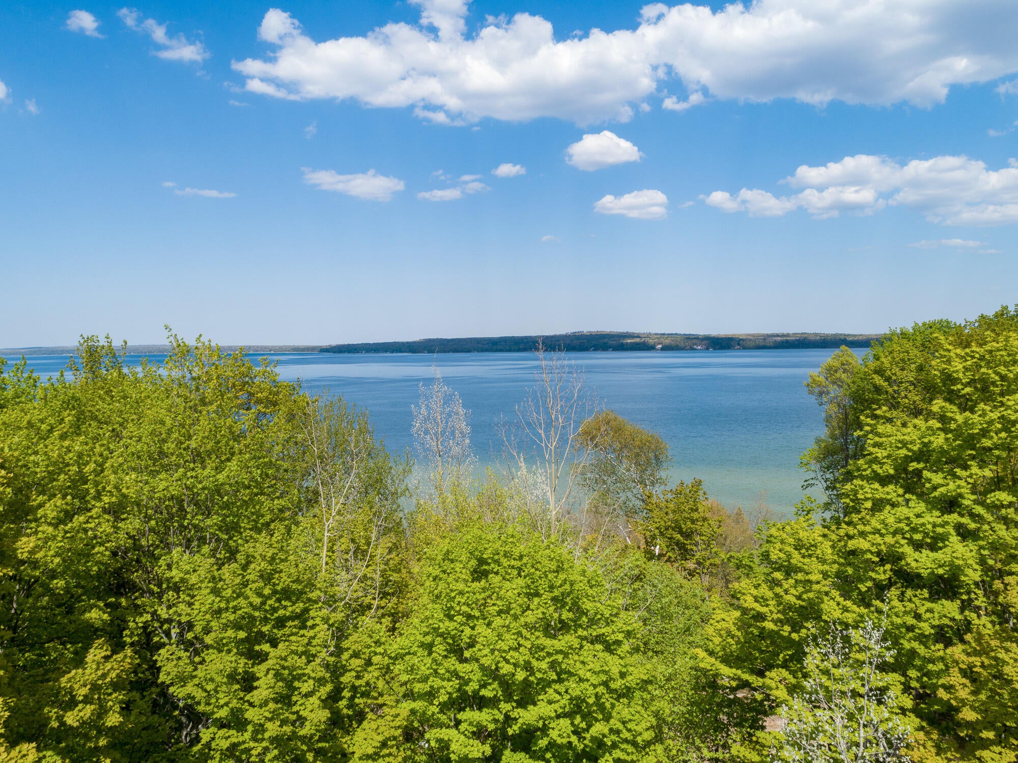 3226 Hidden Ridge Road Alanson, MI 49706 - Photo 8 of 23 Gallery Image 8
