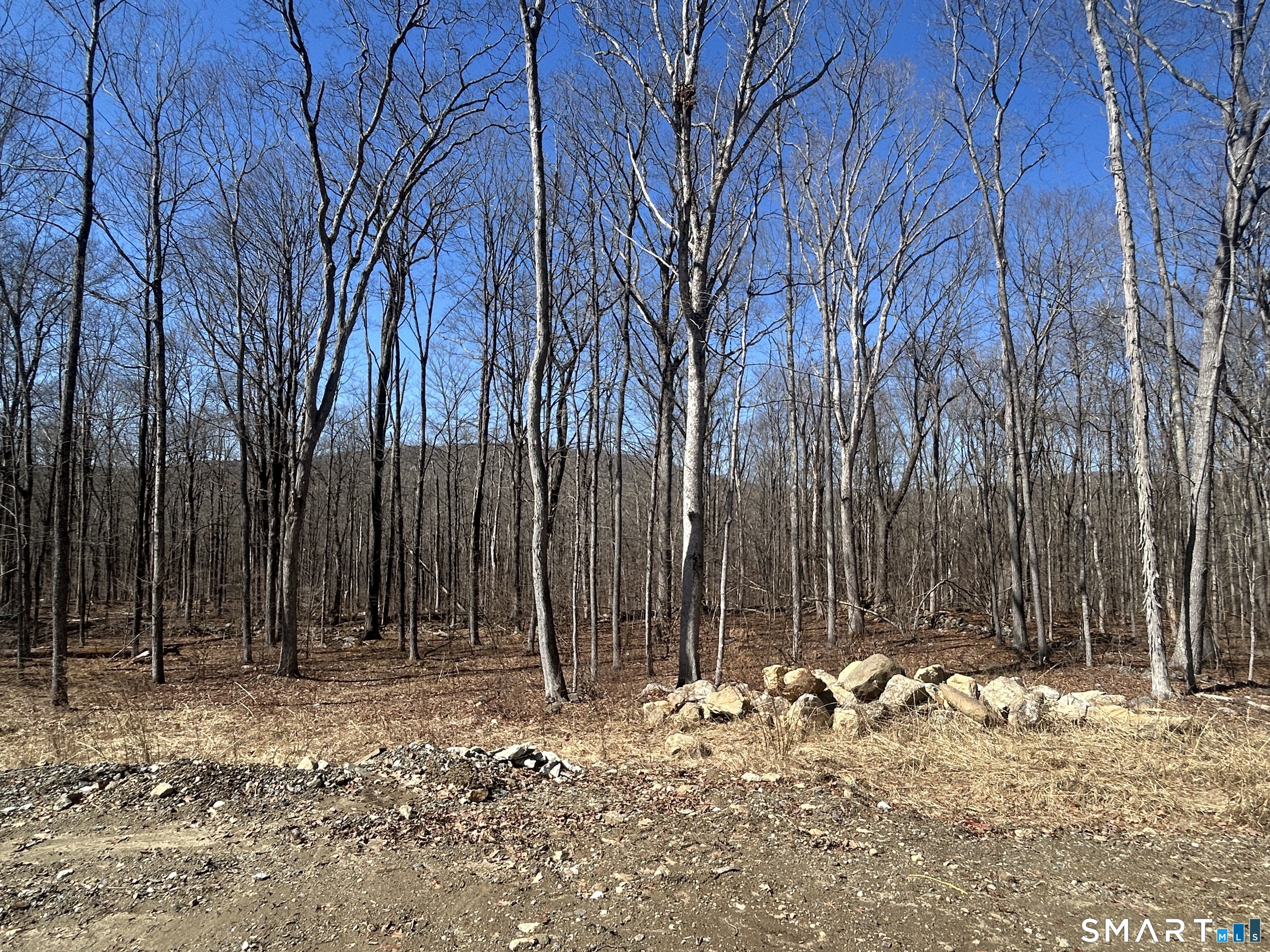 12 Chestnut Lane Washington, CT 06777 - Photo 31 of 32