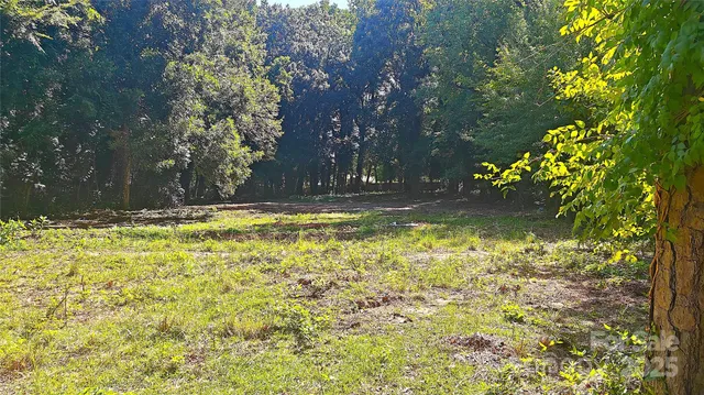 a view of a yard with yellow lighting