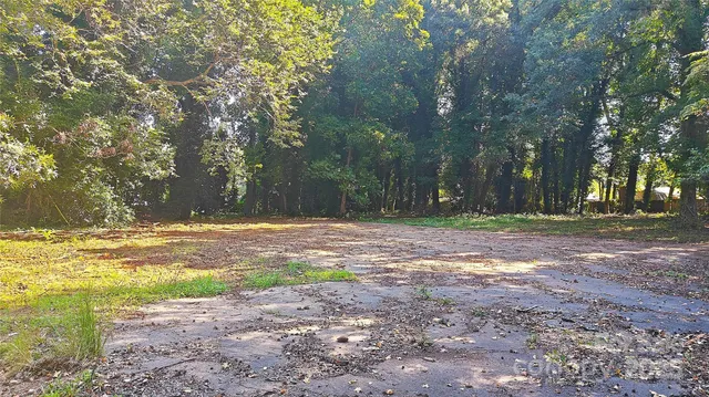 a view of a yard with tree s