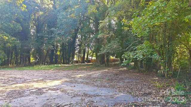 a view of a tree in the middle of a yard