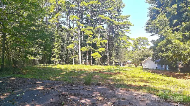 a view of a yard with a tree