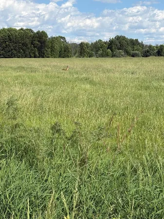 $179,900 | Xxyy 102nd Avenue Northeast, Foley, MN 56329