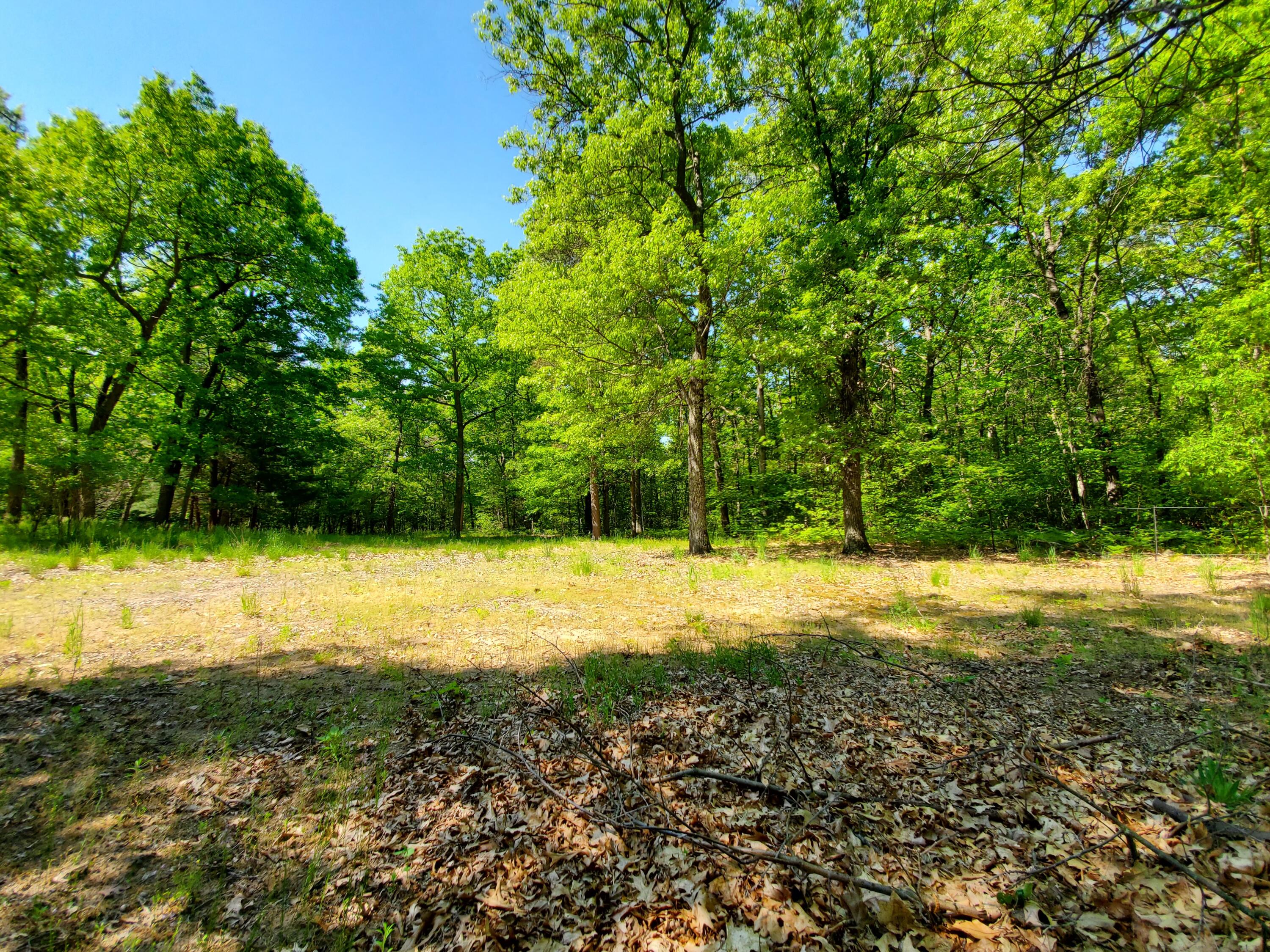 2040 West Fruitvale Road Montague, MI 49437 - Photo 49 of 52 20210602_111809