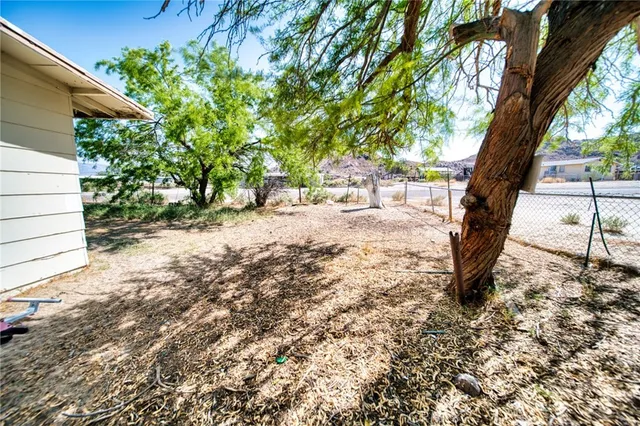 a view of a yard with plants and trees
