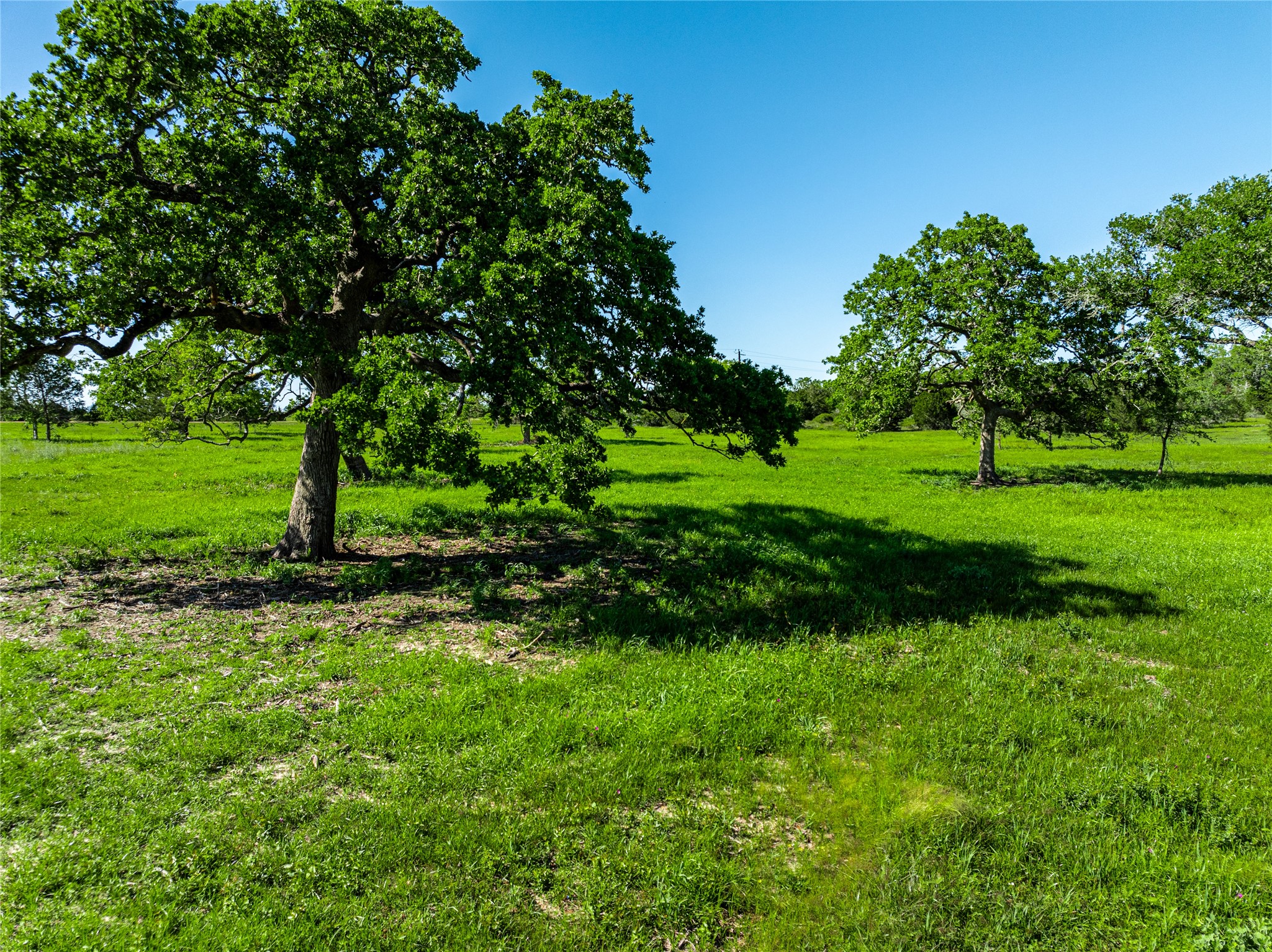 2839 Schoenst Road Carmine, TX 78932 - Photo 3 of 15