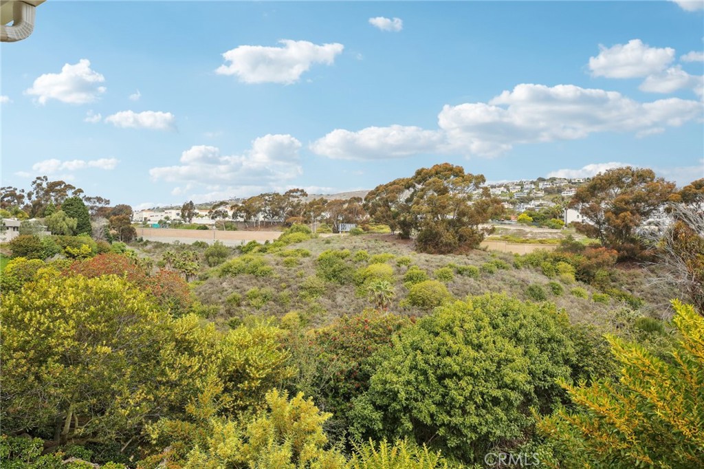 3355 Paseo Halcon San Clemente, CA 92672 - Photo 37 of 43