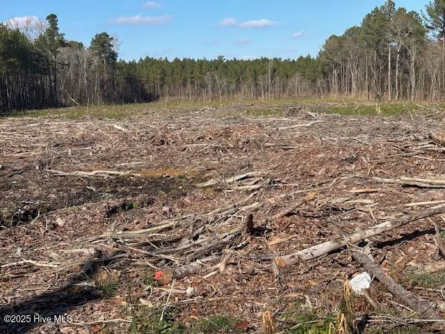 $190,000 | 0 Crepe Myrtle Court, Wilson, NC 27896