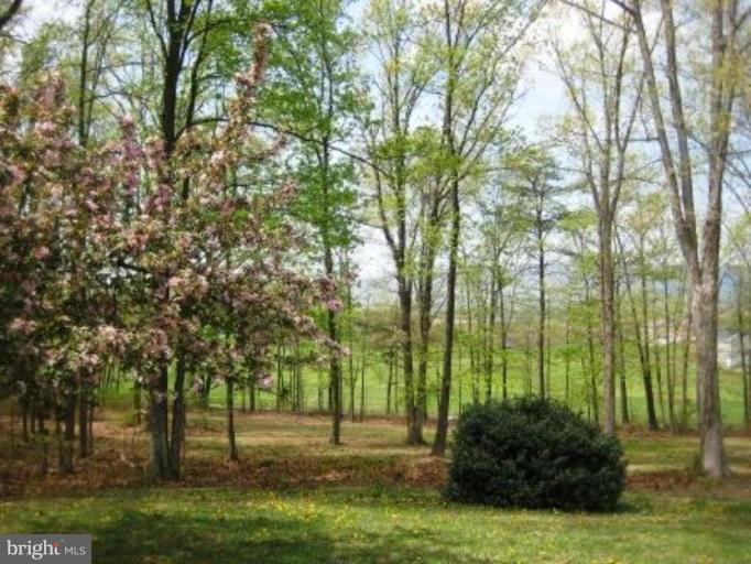 14535 Winchester Grade Road Berkeley Springs, WV 25411 - Photo 4 of 26 Wooded View / Acreage