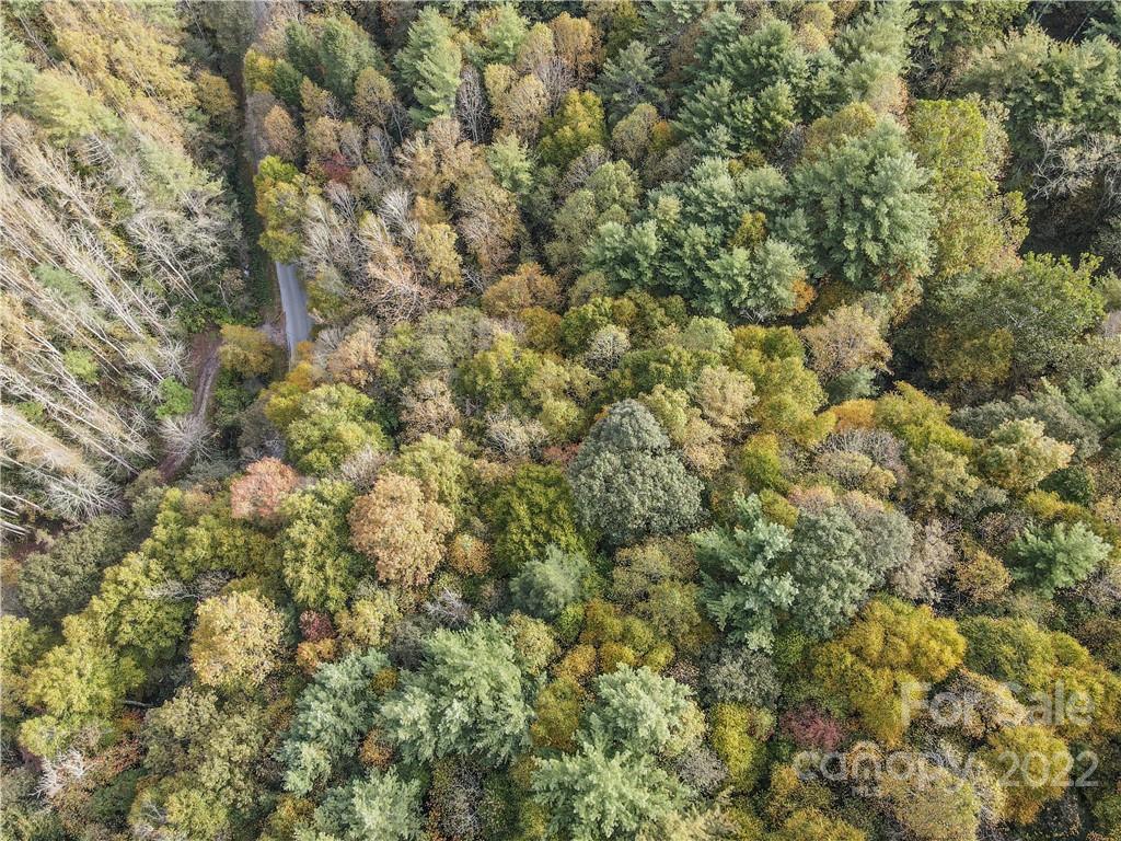 0 Sullins Branch Road Spruce Pine, NC 28777 - Photo 2 of 6 Gallery Image 2