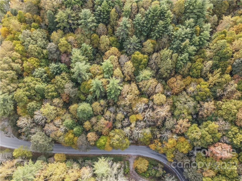 0 Sullins Branch Road Spruce Pine, NC 28777 - Photo 3 of 6 Gallery Image 3