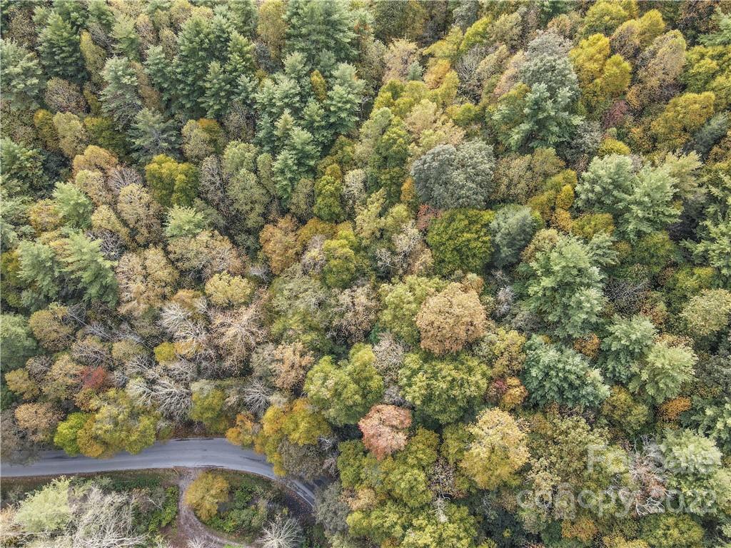 0 Sullins Branch Road Spruce Pine, NC 28777 - Photo 4 of 6 Gallery Image 4