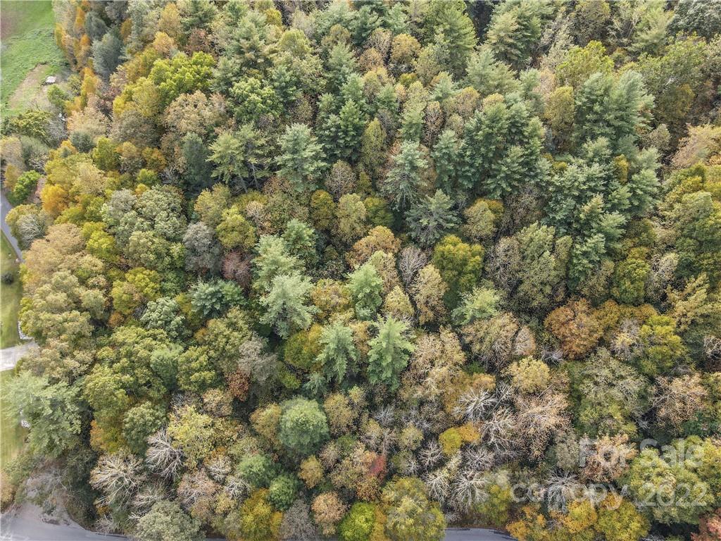 0 Sullins Branch Road Spruce Pine, NC 28777 - Photo 6 of 6 Gallery Image 6