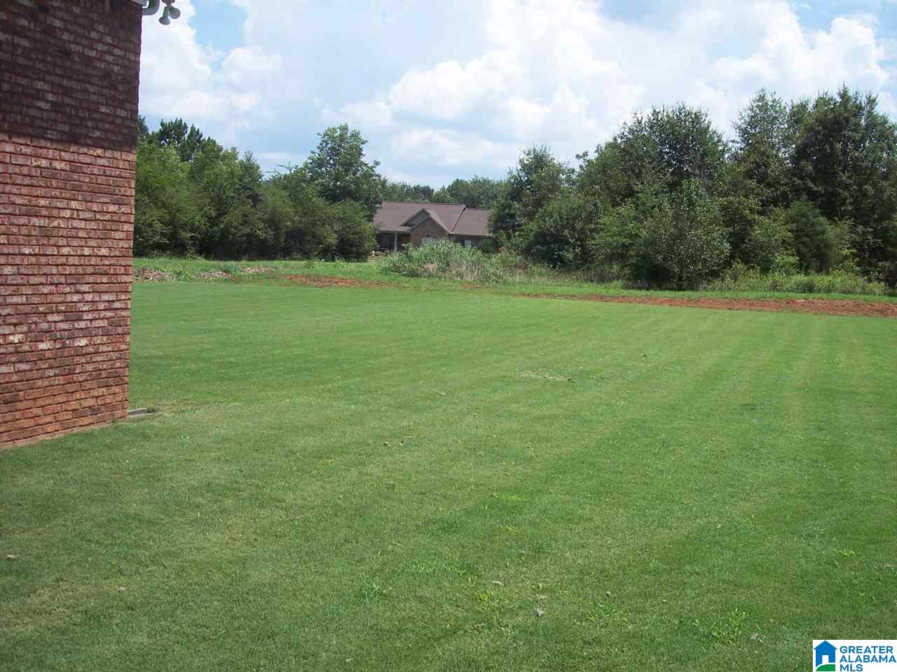 1111 James Hopkins Road Southwest Jacksonville, AL 36265 - Photo 5 of 32