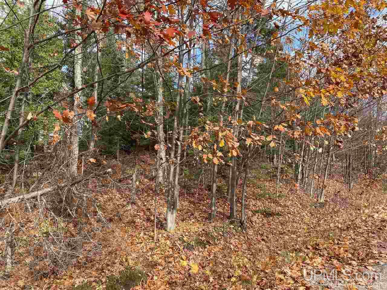 Tbd Lake Enchantment Road, Unit PARCEL 1 Marquette, MI 49855 - Photo 2 of 18