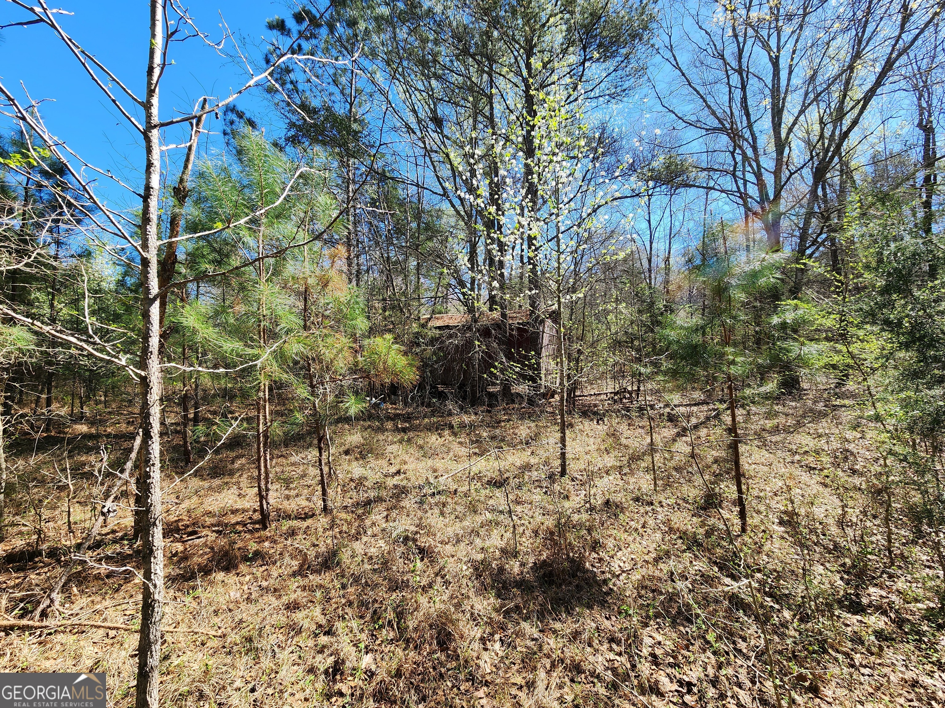 0 Deer Ridge Drive Hamilton, GA 31811 - Photo 13 of 15