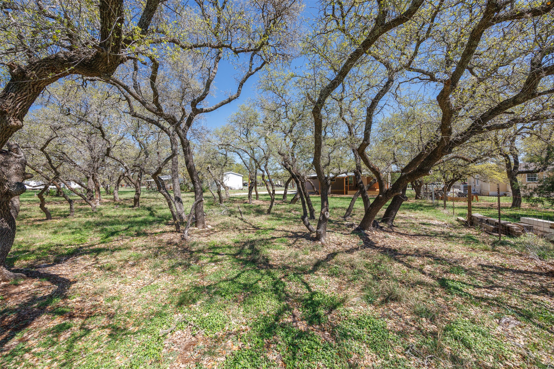 103 Spring View Drive Johnson City, TX 78636 - Photo 19 of 31 View of yard