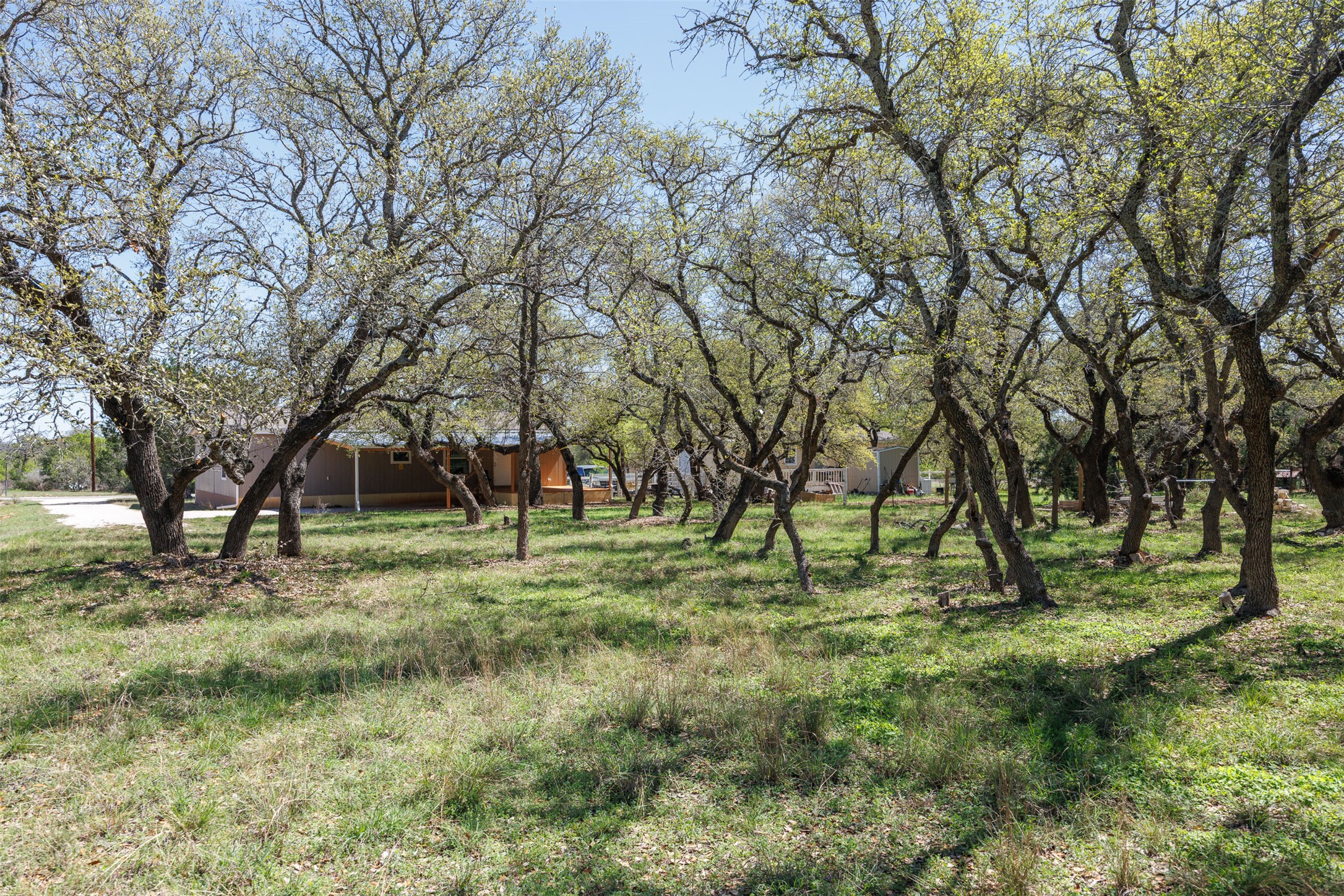 103 Spring View Drive Johnson City, TX 78636 - Photo 21 of 31 View of yard